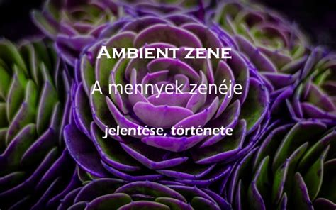 ambiente jelentése|AMBIENT